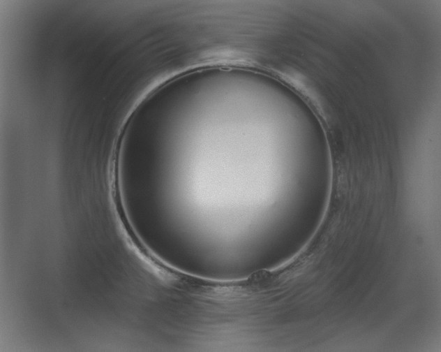 X0000071941383200607141422