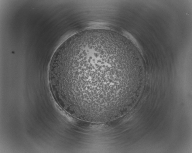 X0000071941386200607141422