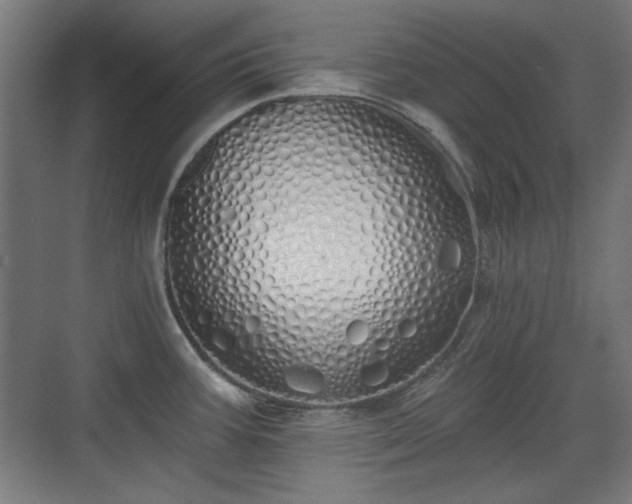 X0000071941387200607141422