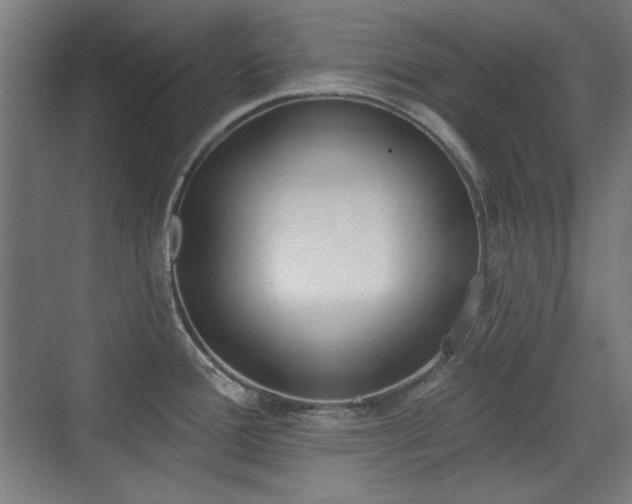X0000071941388200607141422