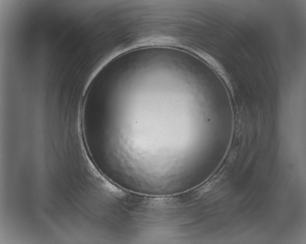 X0000071941390200607141422