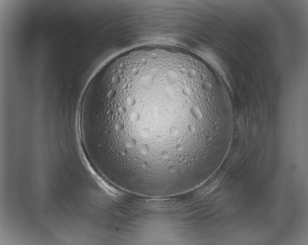 X0000071941391200607141422