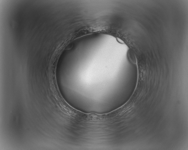 X0000071941393200607141421