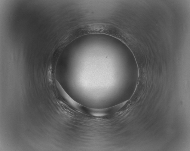 X0000071941394200607141421