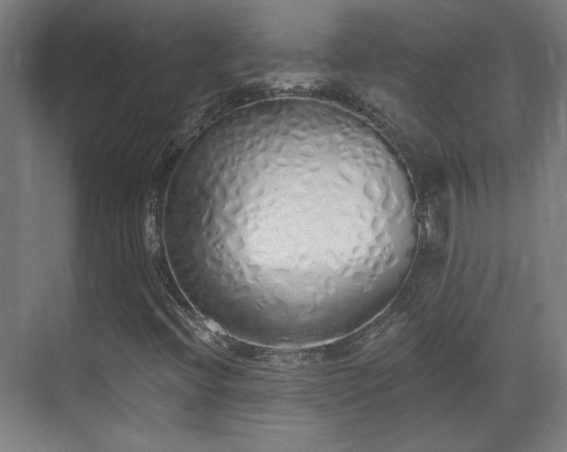 X0000071941396200607141421