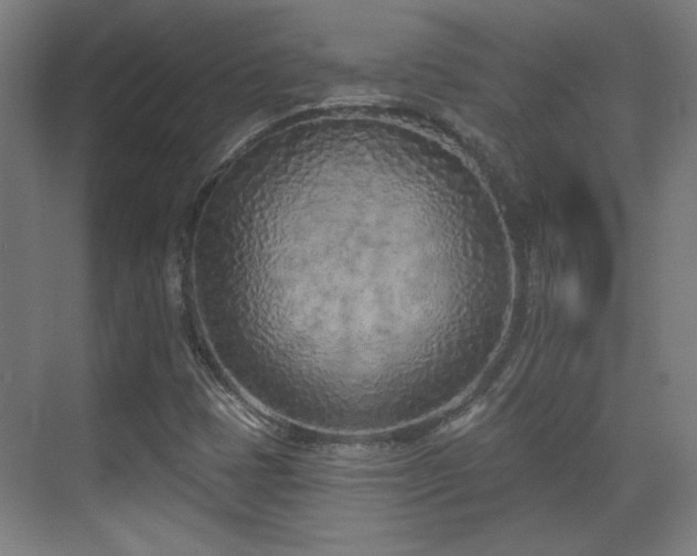 X0000071941401200607141421