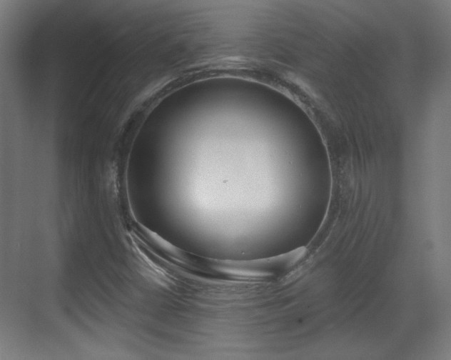 X0000071941402200607141421