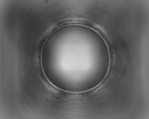 X0000071941403200607141421