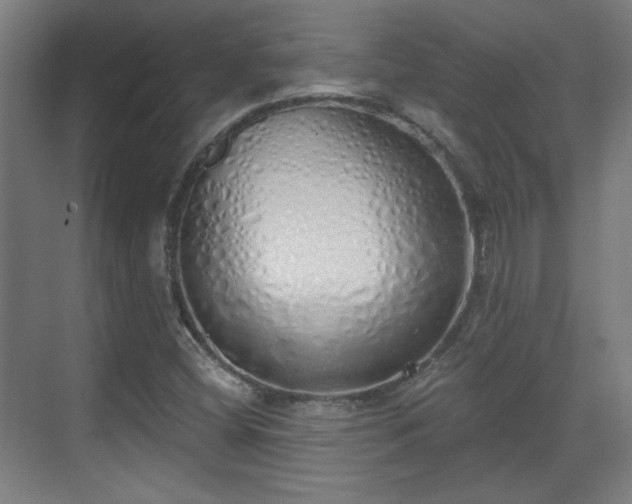 X0000071941404200607141421
