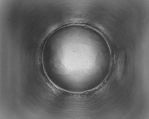X0000071941405200607141421