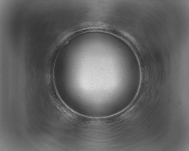 X0000071941407200607141421