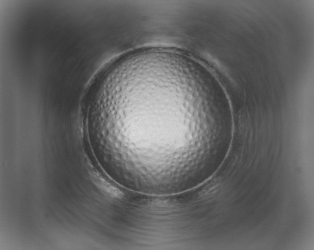 X0000071941408200607141421