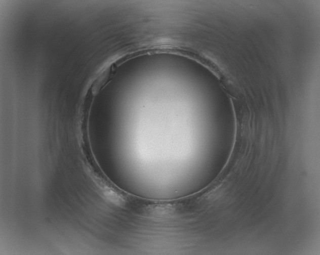 X0000071941410200607141421