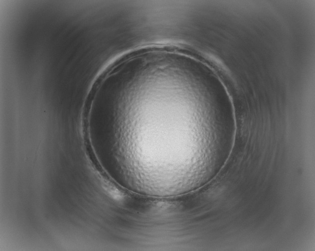 X0000071941412200607141421