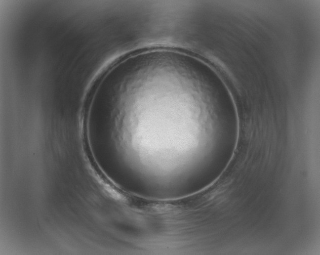 X0000071941416200607141421