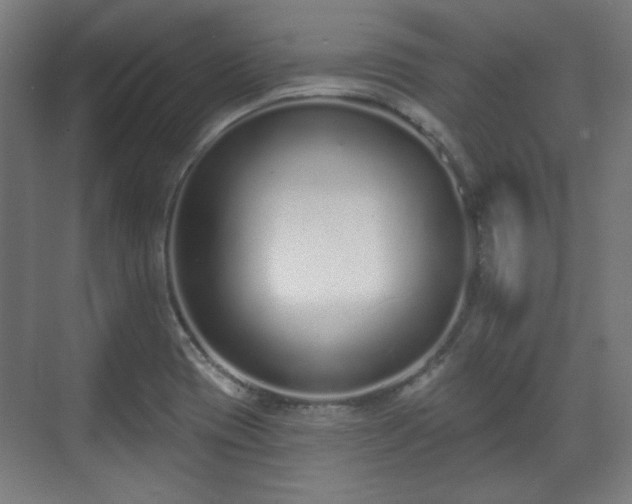 X0000071941417200607141421