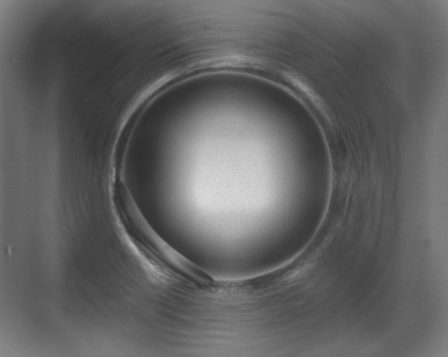 X0000071941418200607141421