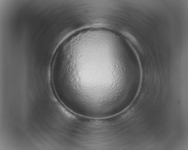 X0000071941420200607141421