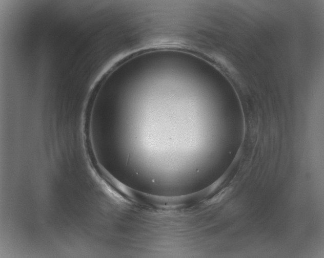X0000071941422200607141421