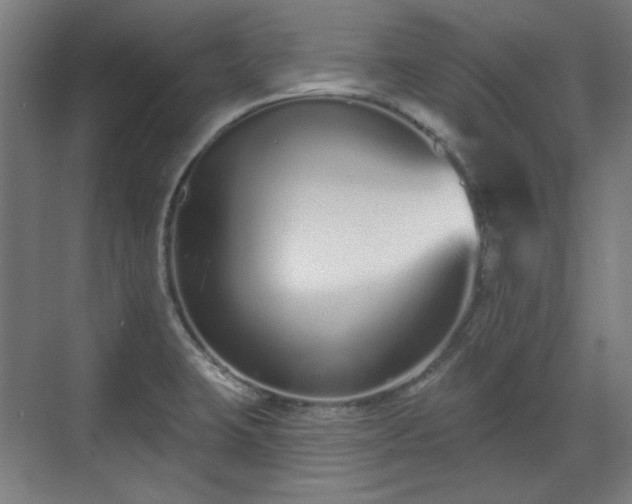 X0000071941423200607141421