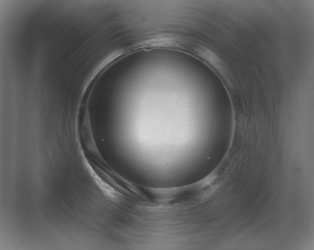 X0000071941426200607141421