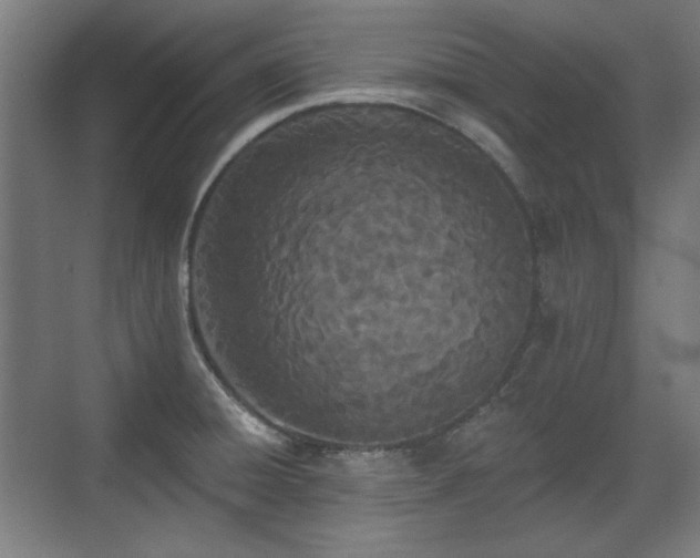X0000071941428200607141421