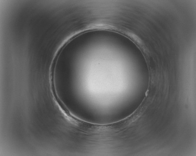 X0000071941430200607141421