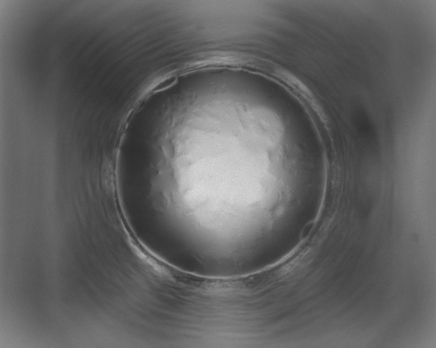 X0000071941433200607141421