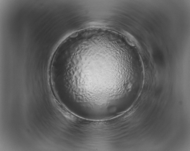 X0000071941435200607141421