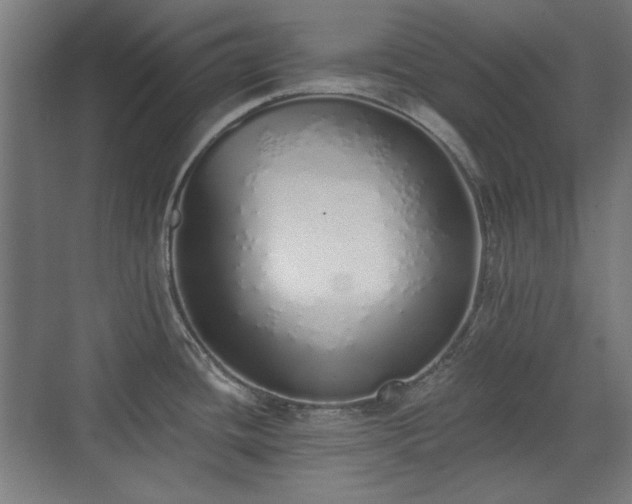 X0000071941436200607141421