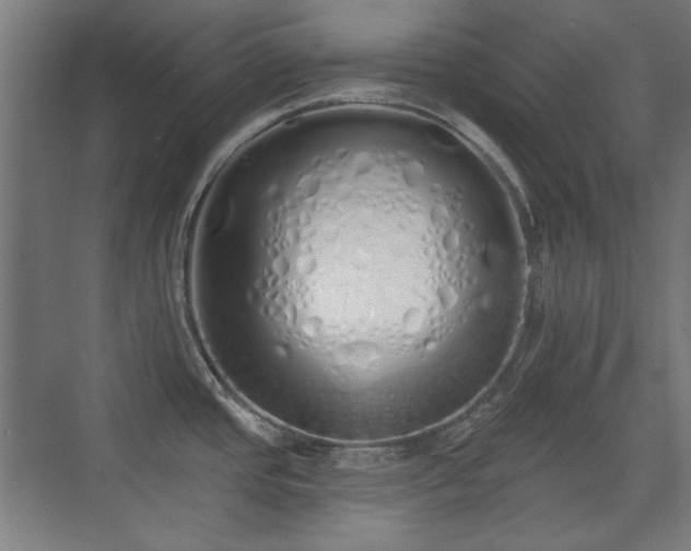 X0000071941437200607141421