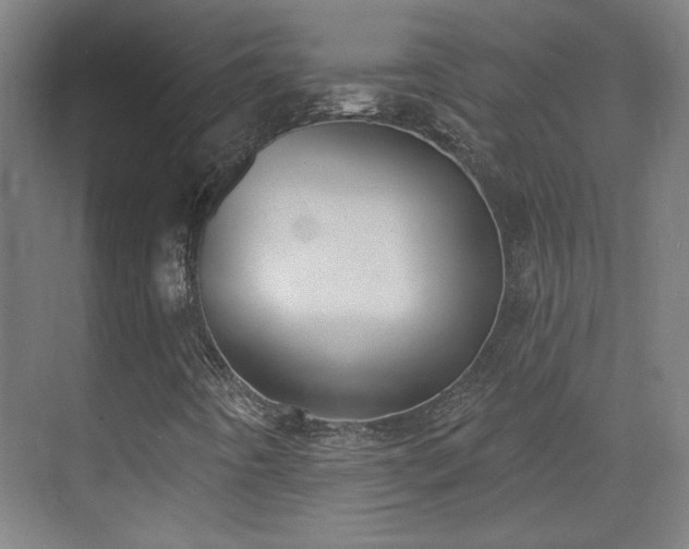 X0000071941442200607141421