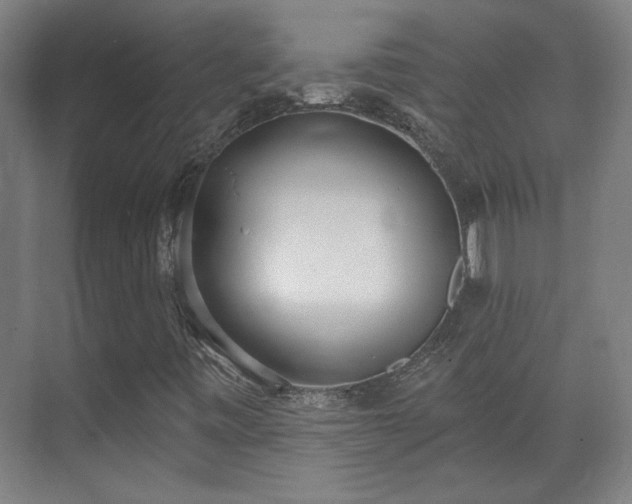 X0000071941443200607141421
