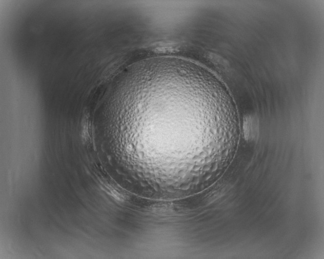 X0000071941444200607141421