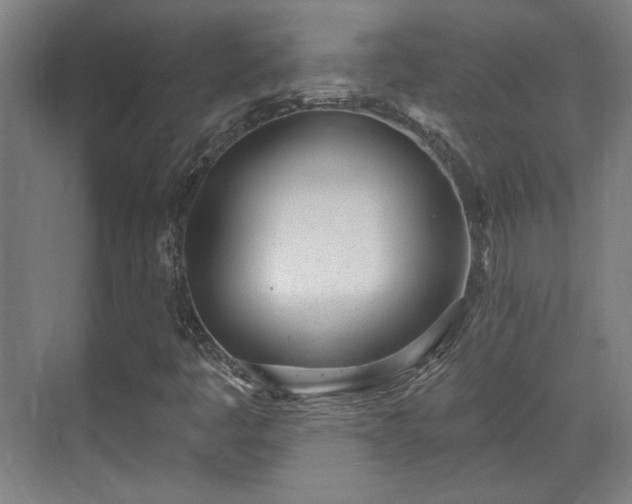 X0000071941445200607141421