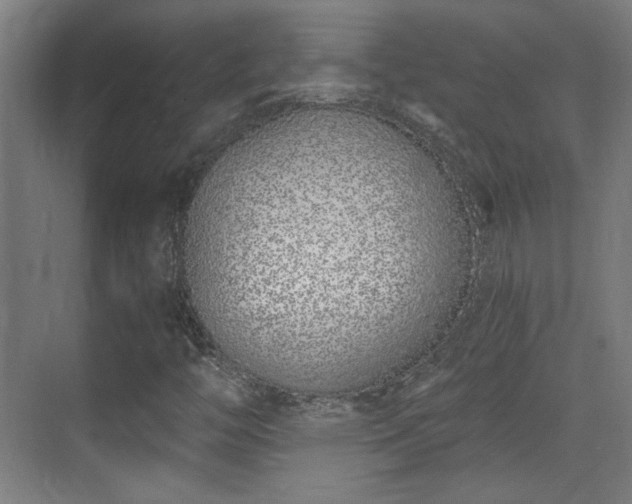 X0000071941446200607141421