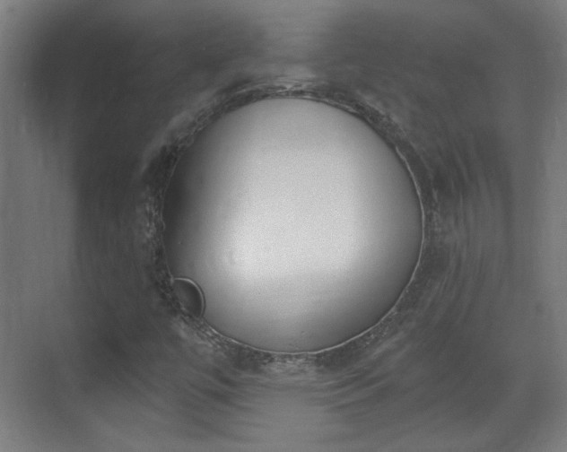 X0000071941447200607141421