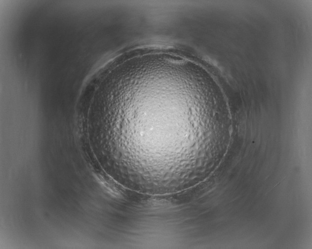X0000071941448200607141421
