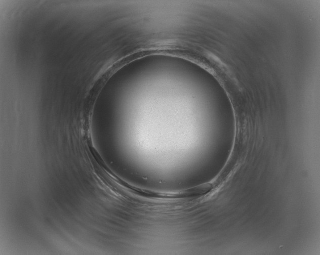 X0000071941449200607141421