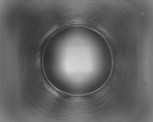 X0000071941450200607141421