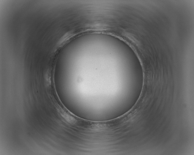 X0000071941451200607141421