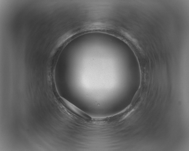 X0000071941453200607141420