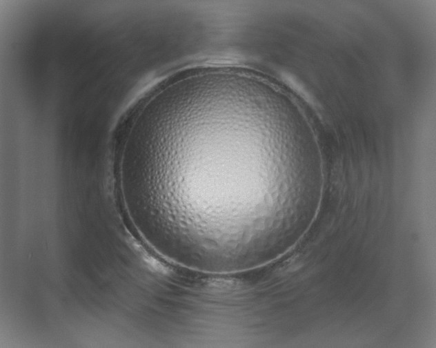X0000071941456200607141420
