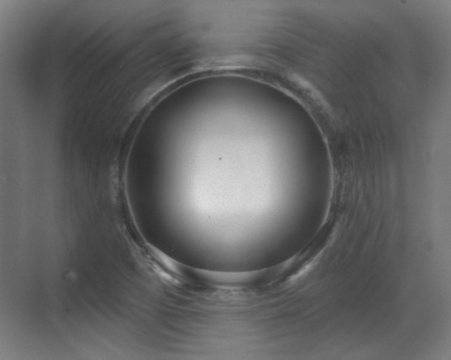 X0000071941457200607141420