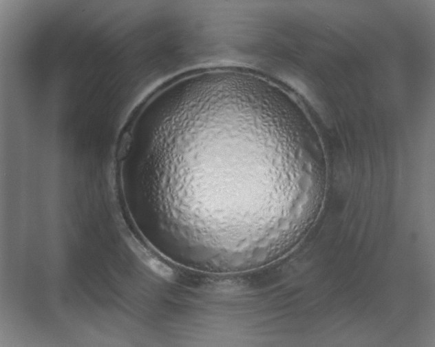 X0000071941460200607141420