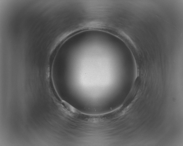 X0000071941461200607141420