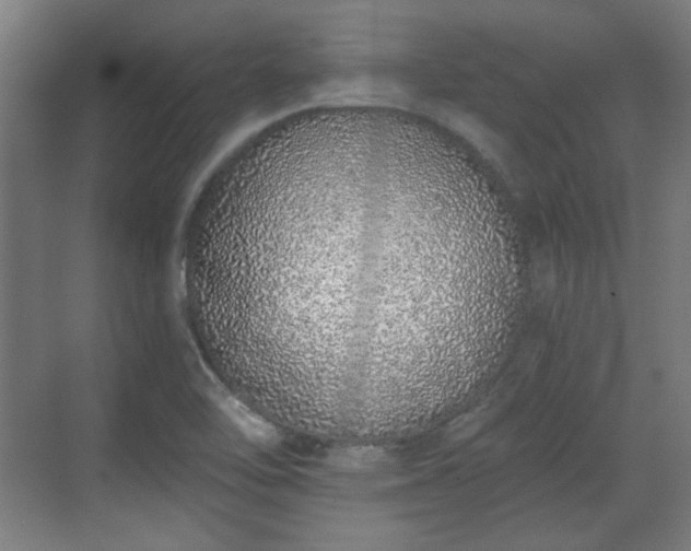 X0000071941462200607141420
