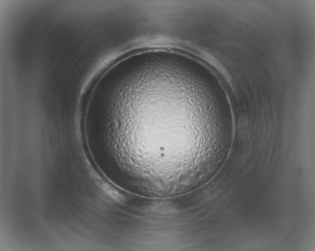 X0000071941464200607141420