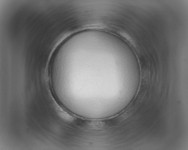 X0000071941466200607141420