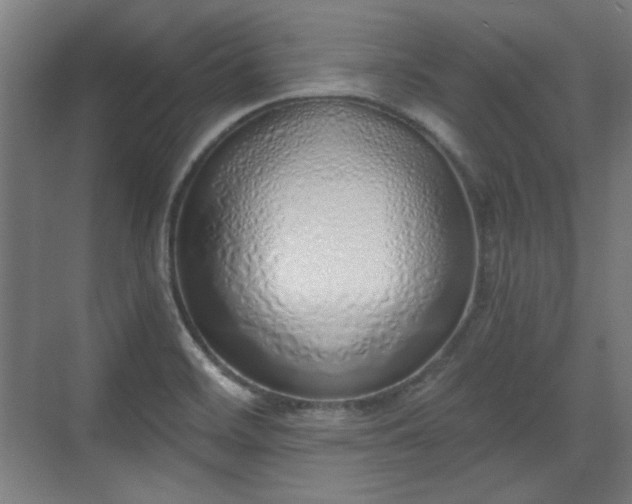 X0000071941468200607141420
